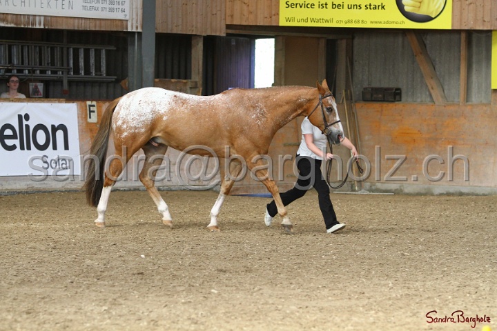 24-ApHC HIH_095.jpg